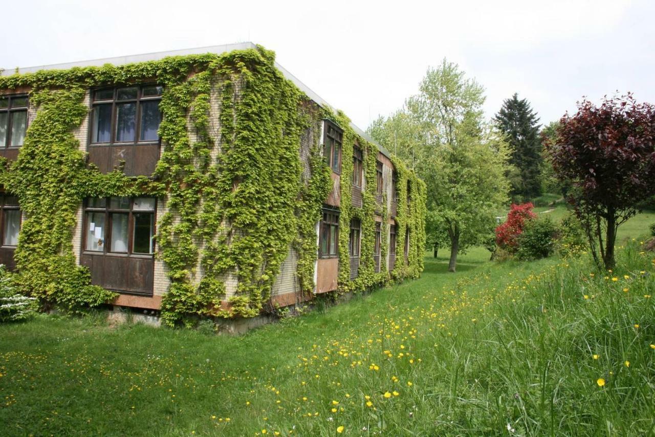 Parkblick Appartement - Entspannung Pur! Ober-Hambach Exteriör bild