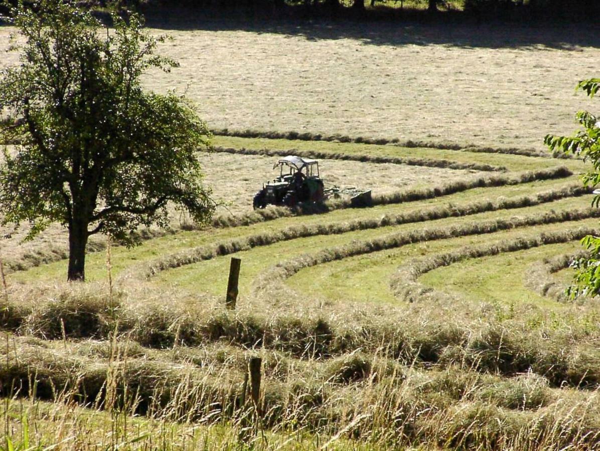 Parkblick Appartement - Entspannung Pur! Ober-Hambach Exteriör bild
